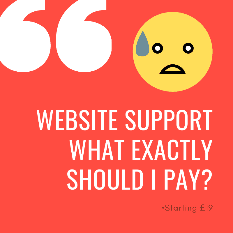 Website support What exactly should I pay